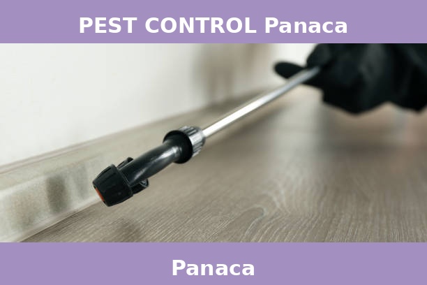 PEST CONTROL Panaca
